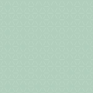 Eigenproduktion Jersey Tender Lines Mint