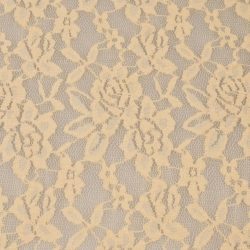 elastische Spitze Hellbeige
