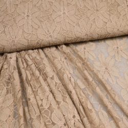 elastische Spitze Beige