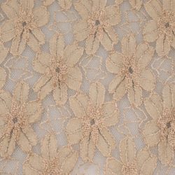 elastische Spitze Beige