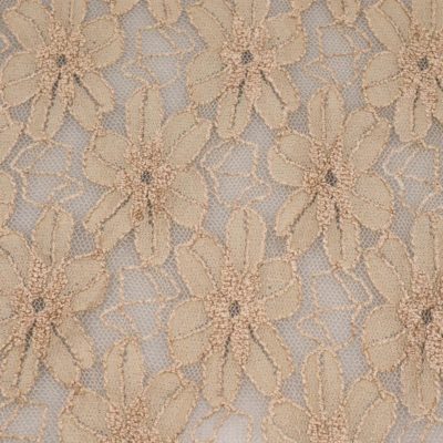 elastische Spitze Beige