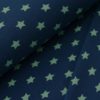 Baumwolljersey Sterne Pinstars Admiral Blau